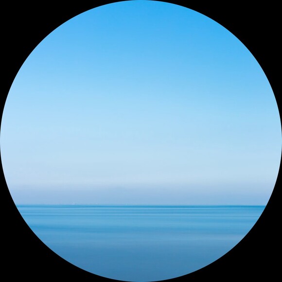 skyrack_491